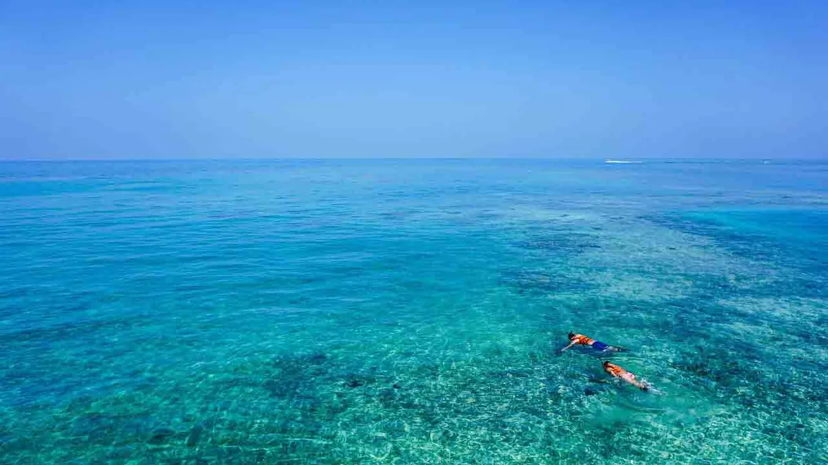 Plongée Jamaïque