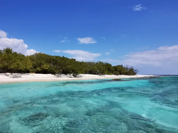 Snorkeling autour de Lime Cay